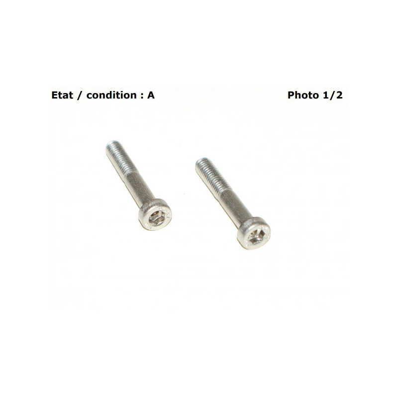 Pair of inox screws 16mm