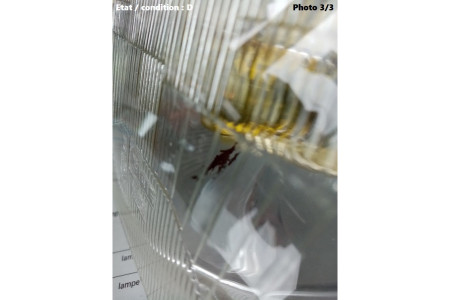 Phare Code droit Iode H1 CIBIE 460134