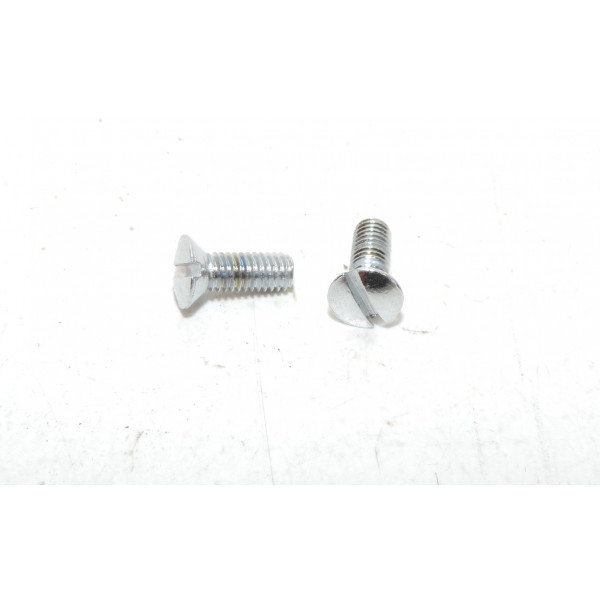 Paire vis spéciales en inox  6mm