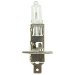 H1 - Bulb 12V  55W
