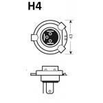P43t - Bulb 12V  60/55W H4 clear