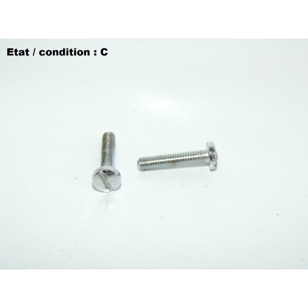 Pair of inox screws  20mm (larg head)