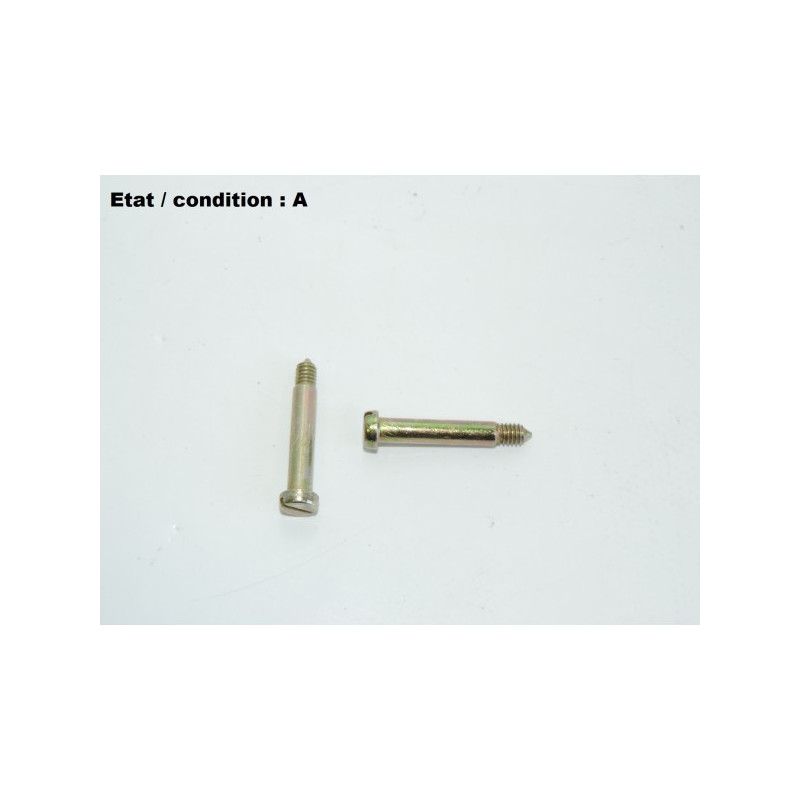 Pair of galvanized steel-bichromate screws 28mm