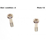 Pair of nickel plated brass screws 20mm