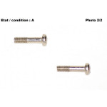 Pair of nickel plated brass screws 20mm