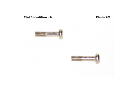 Pair of nickel plated brass screws 20mm