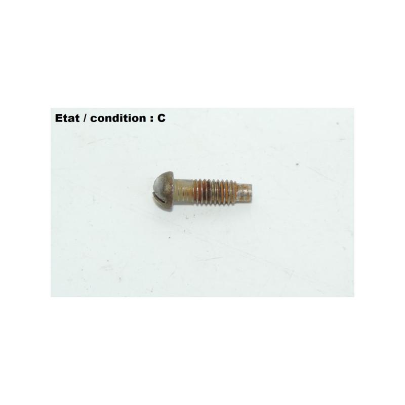 Vis 13mm BOSCH (tête bombée)