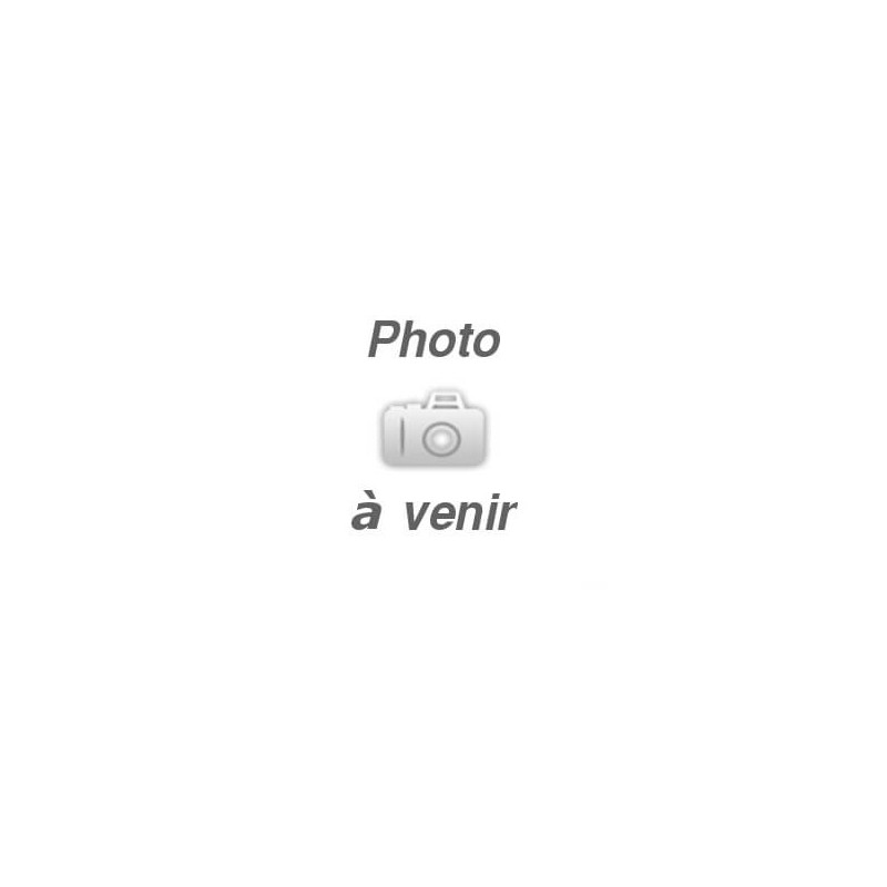 Right taillight VALEO 2272D