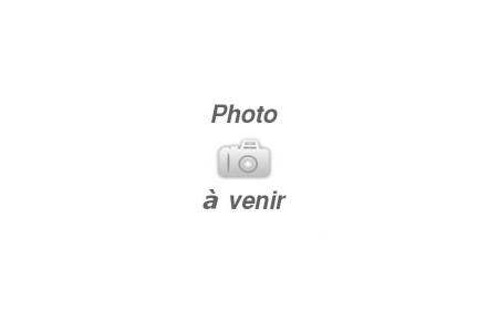 Feu clignotant avant gauche VALEO 085230