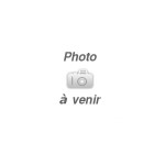 Porte-lampe feu clignotant avant SEIMA 10640