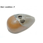 Left front wing indicator light lens AXO