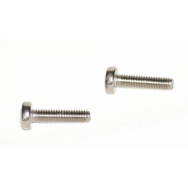 Pair of inox screws 23mm