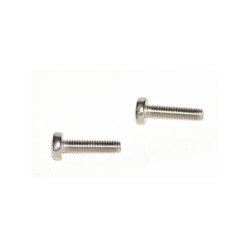 Pair of inox screws 23mm
