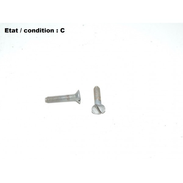 Pair of screws 16mm