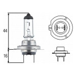 H7 - Bulb 24V 70W