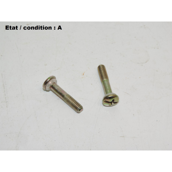Pair of galvanized steel-bichromate screws 25mm
