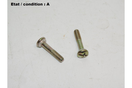 Pair of galvanized steel-bichromate screws 25mm