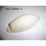 Cabochon feu blanc SCINTEX STL B