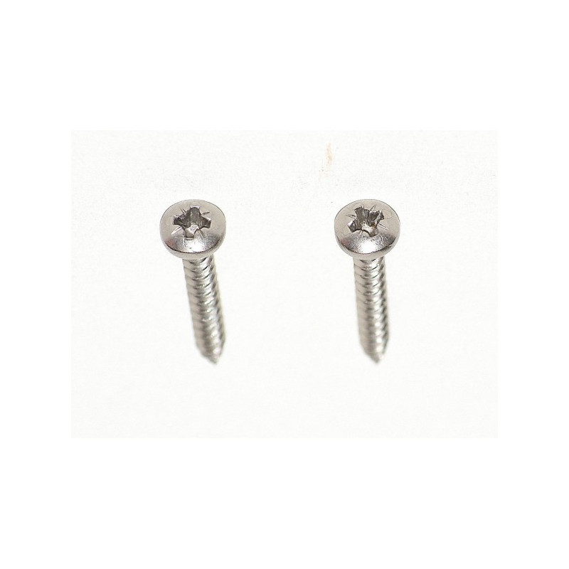 Pair of special screws for front light
