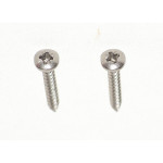 Pair of special screws for front light