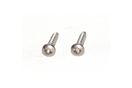 Pair of special screws for front light
