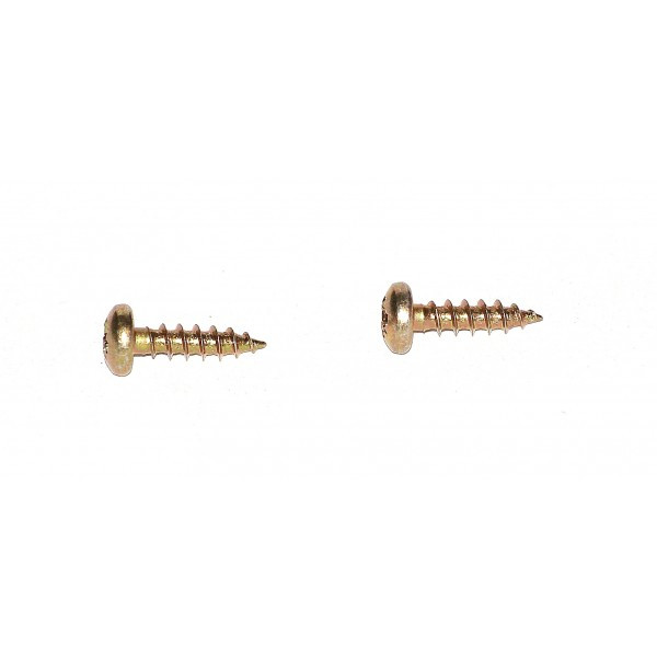 Pair of inox screws 12mm